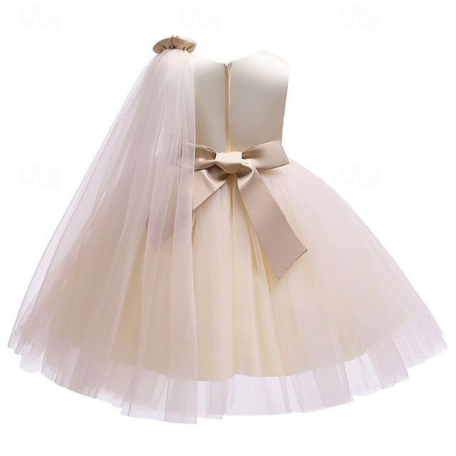 Girl Kid's Princess Dress Flower Girls'