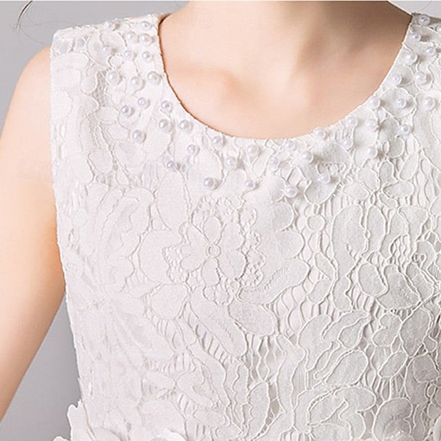 Dress Girls' Kid's Girl Flower Princess