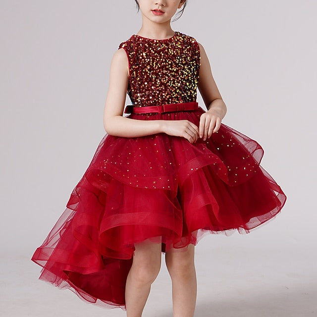 Party Dress Flower Girl Princess Girls'