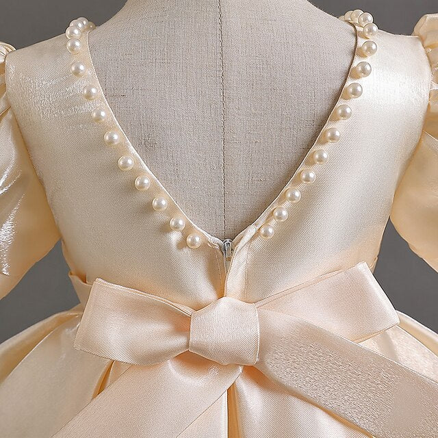 Wedding Special Party Flower Girls' Dress Girl