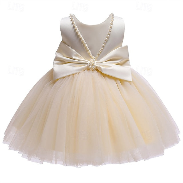 Kid's Girls' Princess Flower Girl Dress