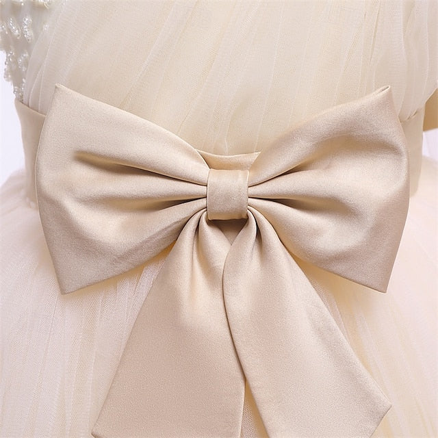 Girl Kid's Princess Dress Flower Girls'