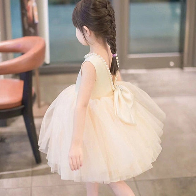 Princess Girls' Kid's Flower Dress Girl