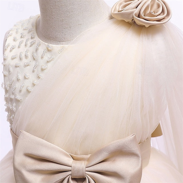 Girl Flower Dress Girls' Kid's Princess