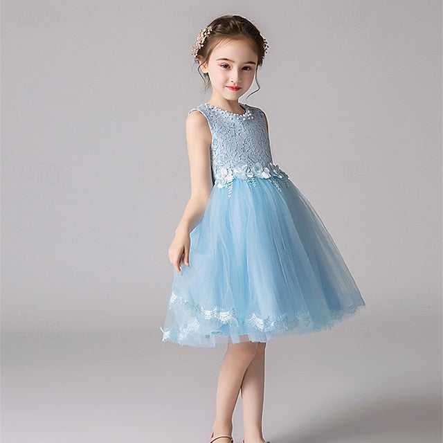 Dress Girls' Kid's Girl Flower Princess