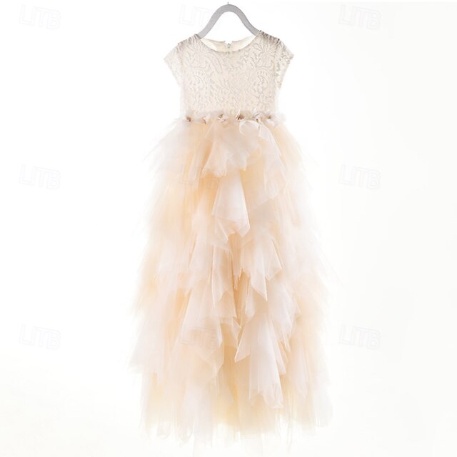 Princess Kid's Flower Girl Dress Girls'