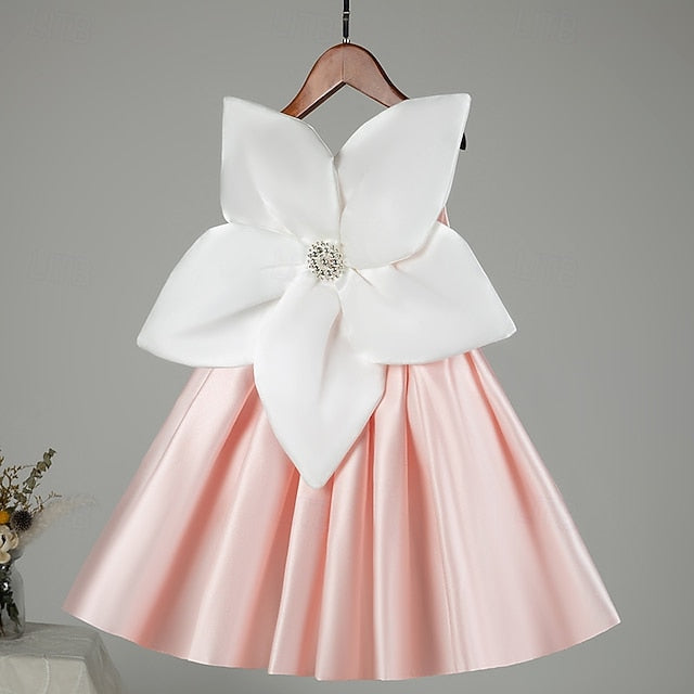 Girl Dress Flower Girls' Princess Kid's