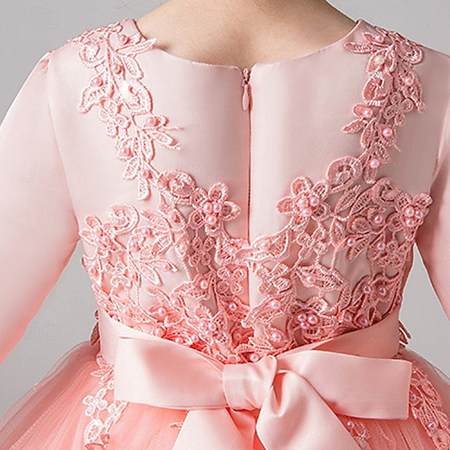 Flower Girls' Girl Dress Kid's Princess