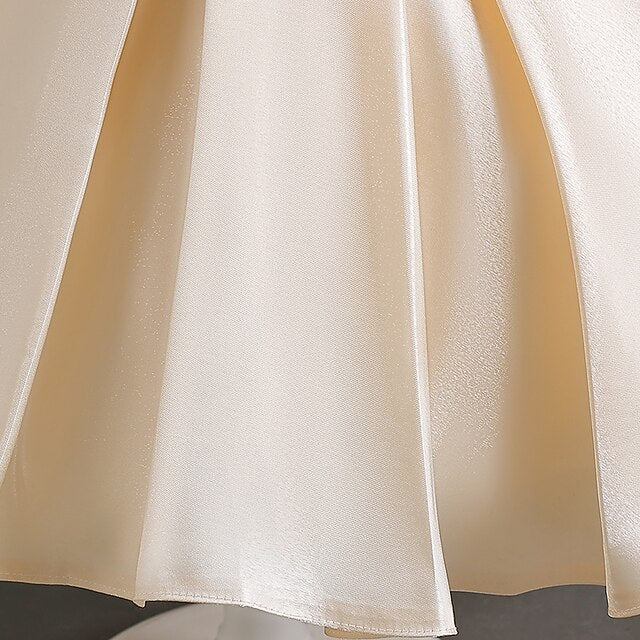 Wedding Special Party Flower Girls' Dress Girl