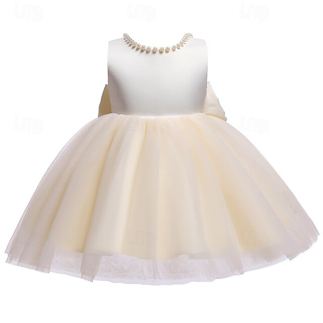 Kid's Girls' Princess Flower Girl Dress