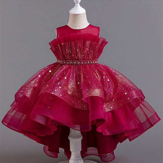 Dress Flower Girl Princess Girls' Kid's