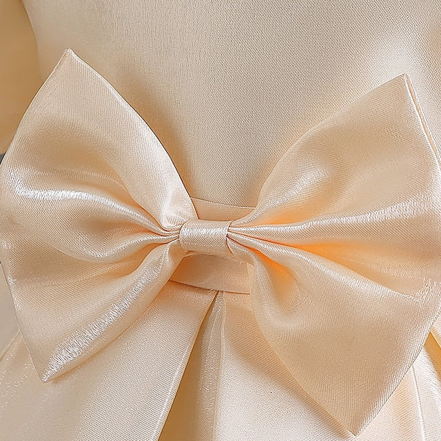 Wedding Special Party Flower Girls' Dress Girl