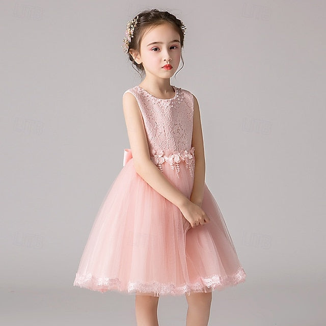 Dress Girls' Kid's Girl Flower Princess