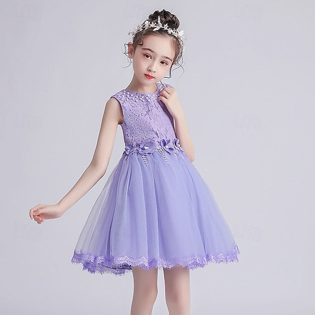 Dress Girls' Kid's Girl Flower Princess