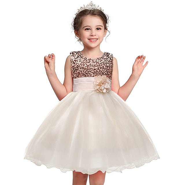 Wedding Party Girl Dress Girls' Flower