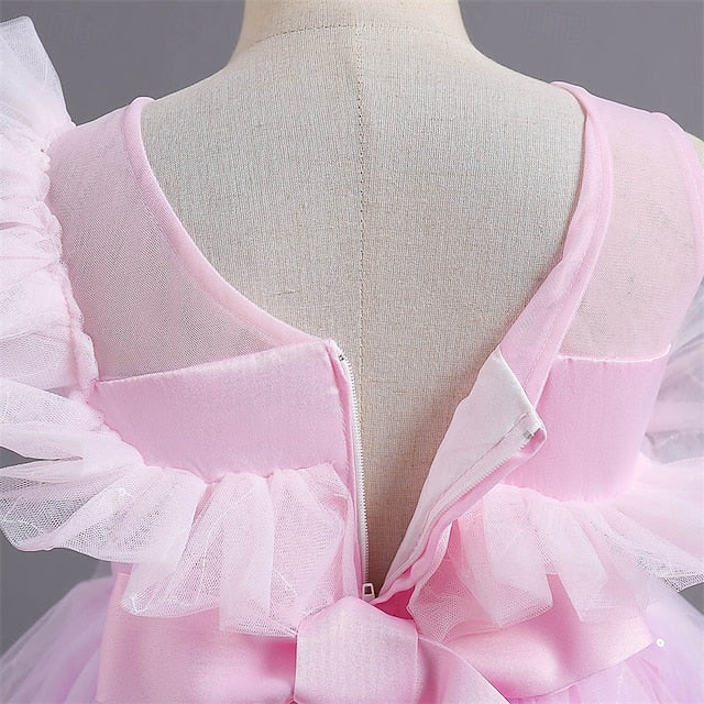 Kid's Flower Girls' Dress Princess Girl