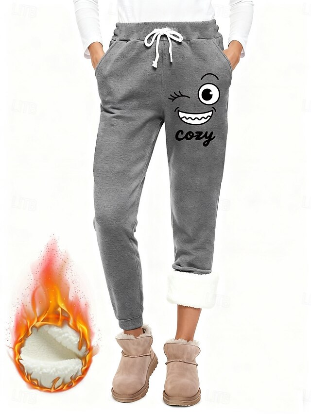 Women's Fleece Pants Chinos Fashion Basic Casual Full